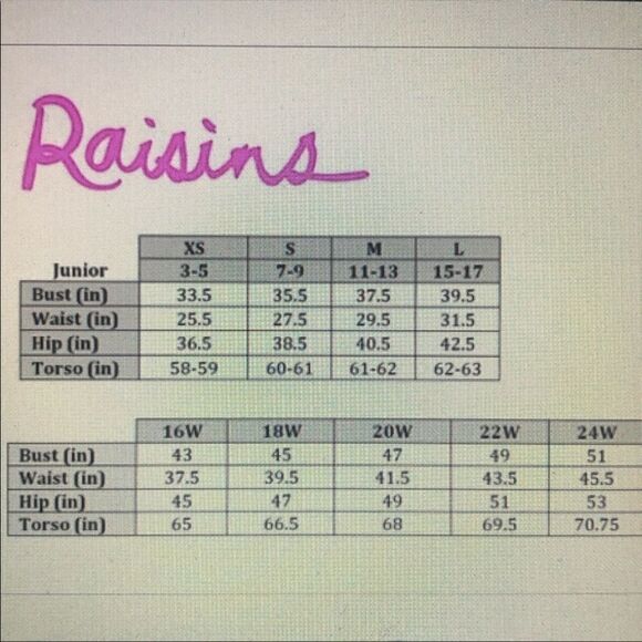 Raising triangle top with ruffles size Small with tags Ipsy bag - Picture 8 of 11